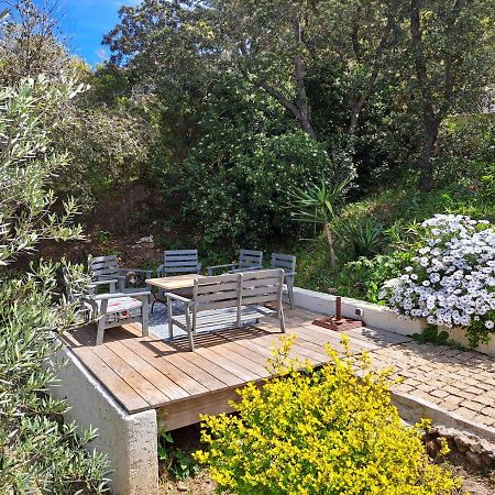 Villa K Presqu Ile De Giens Hyères Zewnętrze zdjęcie