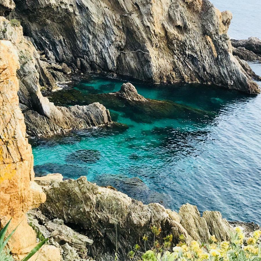 Villa K Presqu Ile De Giens Hyères Zewnętrze zdjęcie